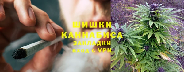 spice Балахна